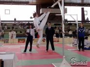 Mistrovstv ech Taekwon-Do ITF 2002