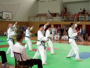 Mistrovstv Moravy Taekwon-Do ITF 2002