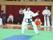 Mistrovstv Moravy Taekwon-Do ITF 2002