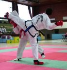 Mistrovstv ech 2003 v  Taekwon-Do ITF