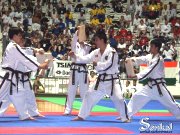 13. MSS v Taekwon-Do ITF