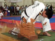 13. MSS v Taekwon-Do ITF