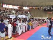 13. MSS v Taekwon-Do ITF