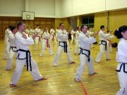 Taekwon-Do ITF