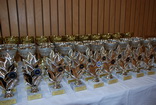 5. ampiont mldee