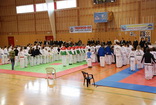5. ampiont mldee