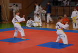 5. ampiont mldee