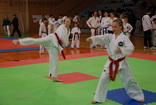 5. ampiont mldee
